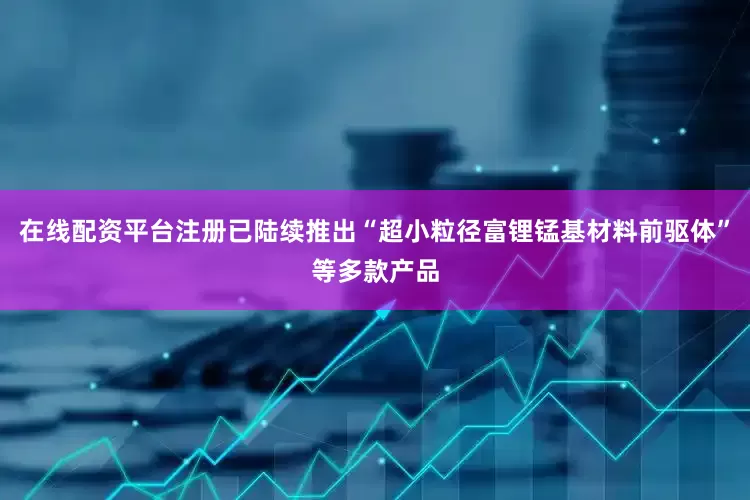 在线配资平台注册已陆续推出“超小粒径富锂锰基材料前驱体”等多款产品