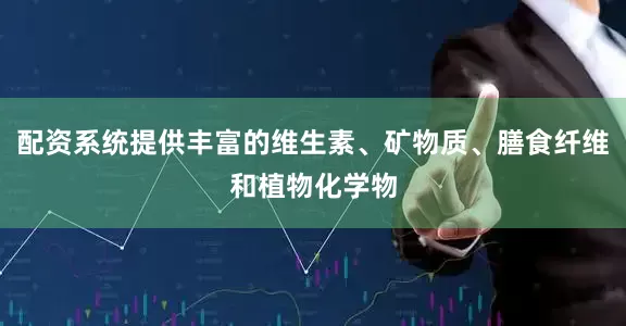 配资系统提供丰富的维生素、矿物质、膳食纤维和植物化学物