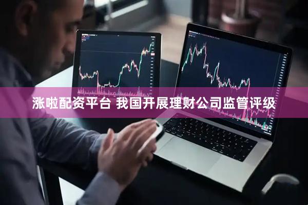 涨啦配资平台 我国开展理财公司监管评级