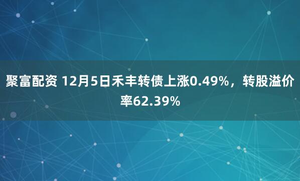 聚富配资 12月5日禾丰转债上涨0.49%，转股溢价率62.39%