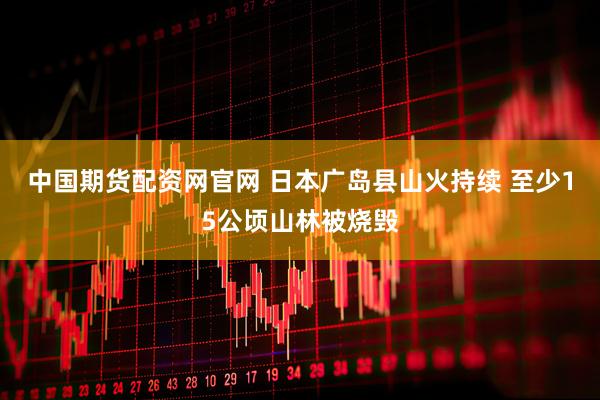 中国期货配资网官网 日本广岛县山火持续 至少15公顷山林被烧毁